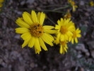 photo thumbnail #15