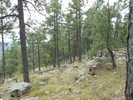 photo thumbnail #6