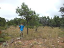 photo thumbnail #8