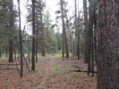photo thumbnail #9
