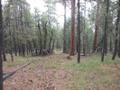 photo thumbnail #10
