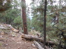 photo thumbnail #11