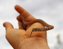 photo thumbnail #1