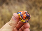 photo thumbnail #2