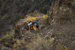photo thumbnail #5