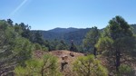 photo thumbnail #9