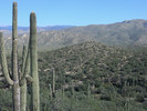 photo thumbnail #2