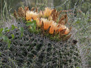 photo thumbnail #6