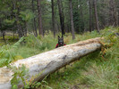 photo thumbnail #3