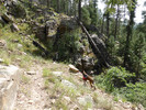 photo thumbnail #11