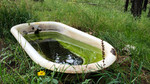 photo thumbnail #10