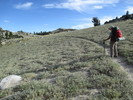 photo thumbnail #15