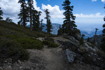 photo thumbnail #3
