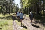 photo thumbnail #4
