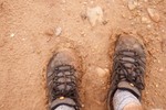 photo thumbnail #7