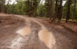 photo thumbnail #8