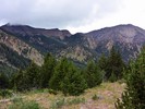 photo thumbnail #13