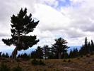 photo thumbnail #14