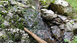 photo thumbnail #13