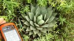 photo thumbnail #9