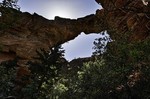 photo thumbnail #6
