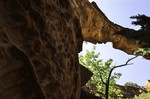 photo thumbnail #8
