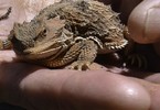 photo thumbnail #11