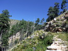 photo thumbnail #2