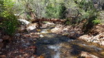 photo thumbnail #14