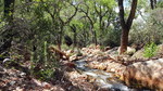 photo thumbnail #15
