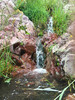 photo thumbnail #10