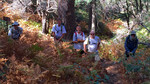 photo thumbnail #3