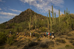 photo thumbnail #2