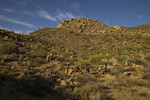 photo thumbnail #3
