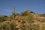 photo thumbnail #4