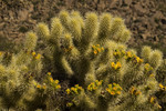 photo thumbnail #8