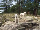 photo thumbnail #4