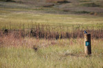 photo thumbnail #14