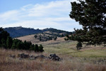photo thumbnail #15