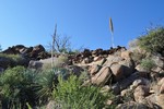 photo thumbnail #2