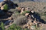 photo thumbnail #6