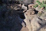 photo thumbnail #7