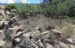 photo thumbnail #10