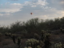 photo thumbnail #1