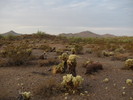 photo thumbnail #2