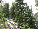 photo thumbnail #13
