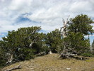 photo thumbnail #15