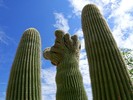 photo thumbnail #2