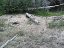 photo thumbnail #3