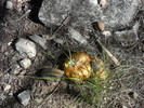 photo thumbnail #4